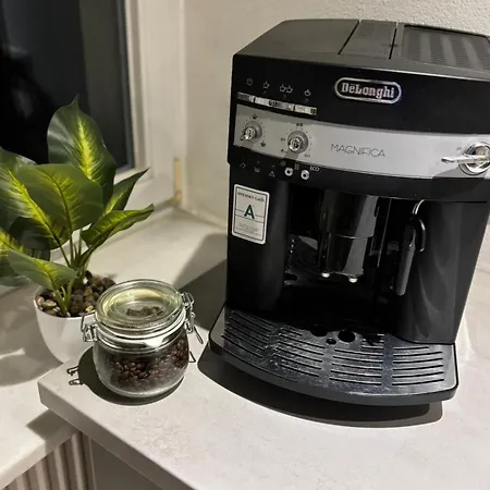 Exklusive Im Zentrum Von Apartamento Plauen